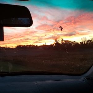 Meet your Posher, Erika